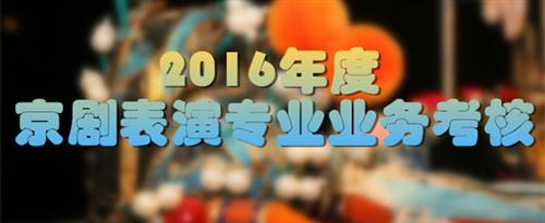 啊啊啊啊,日我国家京剧院2016年度京剧表演专业业务考...